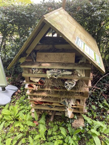 Edward Bear Club Bug Hotel in the churchyard