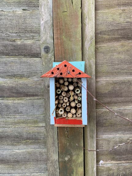Simple Bug House